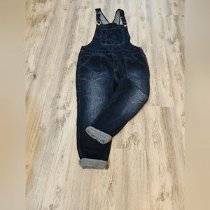 EUC J. Crew Denim Overalls XXL